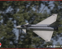 TSR Watermark - 0532